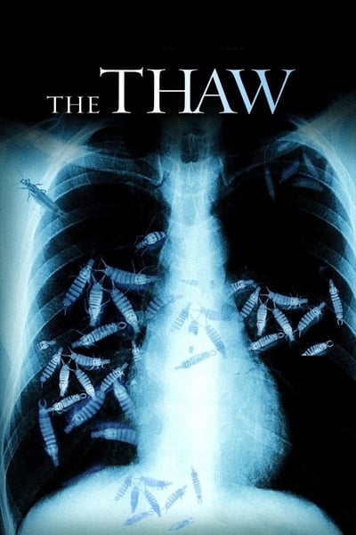 The Thaw ( Degel  )