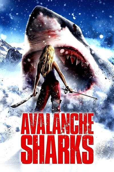 Avalanche Sharks – les dents de la neige