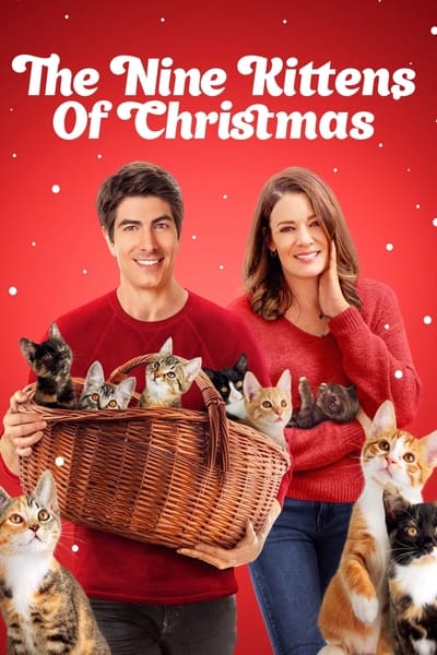 Neuf chatons pour Noël