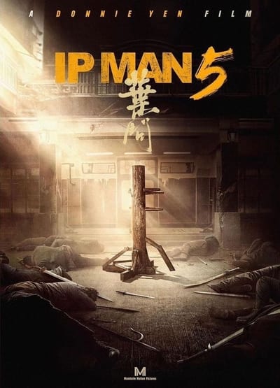 Ip Man 5 : Kung Fu Master – Les Origines